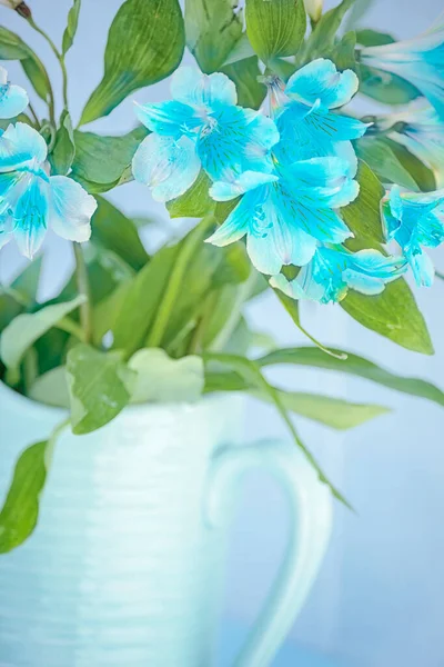 Nice bouquet with blue flowers. soft light art photo with soft focus.