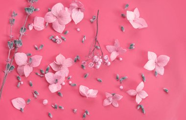 Dry flowers and petals on a pink background. Floral background. View from above. natural cute background