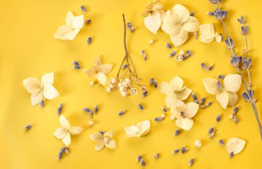 Dry flowers and petals on a yellow background. Floral background. View from above. natural cute background