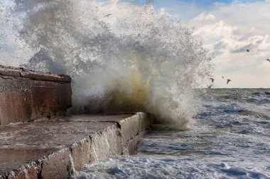 Raging waves crashing on a stone pier. Sea element.