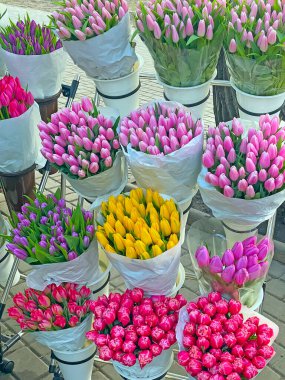 Bahar çiçekleri farklı renklerde laleler sokaklarda satılıyor.