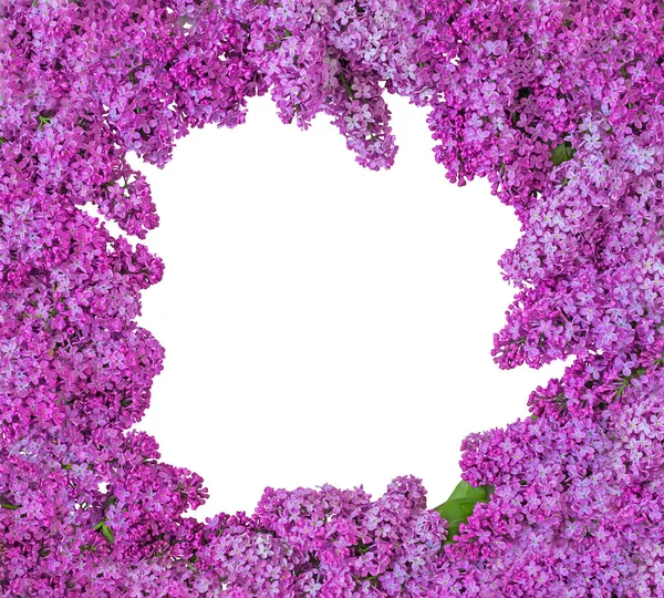 Cadre Couronne Fleurs Lilas Isoler Sur Blanc — Photo