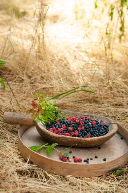 Bahçedeki ahşap bir kasede yabanmersini yaban mersini. kırsal yaşam