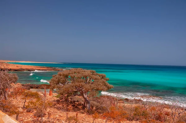 stock image  Exotic wild beach with emerald water. Island in the Indian Ocean.