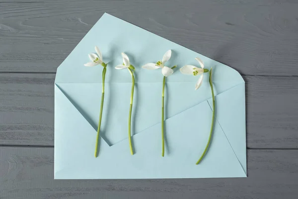 Spring Snowdrop Primroses Blue Envelope Wooden Blue Background View Flat — Stock Photo, Image