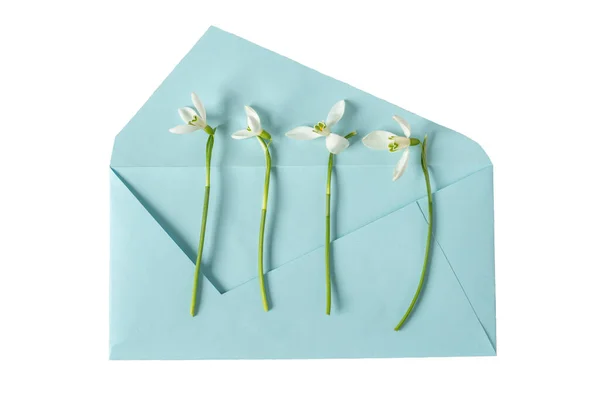 Lkbahar Kartanesi Çuha Çiçekleri Mavi Bir Zarf Yukarıdan Bak Düz — Stok fotoğraf