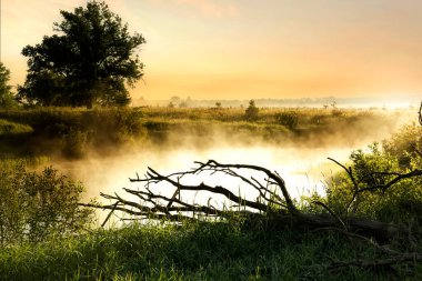 Early foggy morning on the river. Foggy morning magic. soft focus.