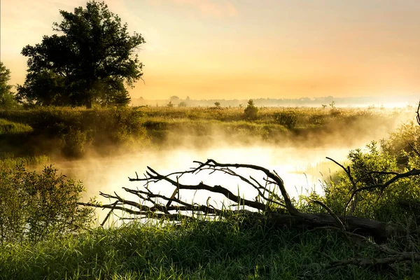 stock image Early foggy morning on the river. Foggy morning magic. soft focus.