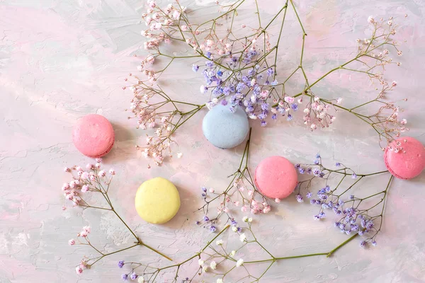 Delicate Pink Small Flowers Colorful Macaroons Gentle Gray Pink Background — Stock Photo, Image