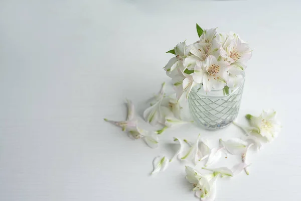 Délicat Petit Bouquet Fleurs Alstroemeria Blanches Sur Fond Pastel Clair — Photo