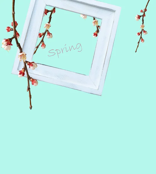 Hello Spring Concept Wooden Frame Branches Blossoming Apricots Green Background — Stock Photo, Image