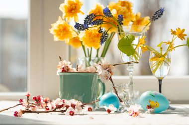 Paskalya konsepti. Çeşitli bahar çiçekleri ve renkli Paskalya yumurtaları. Yumuşak sanatsal odaklı narin ışık fotoğrafı