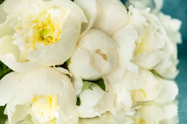 Delicadas Flores Frescas Peonías Blancas Con Gotas Después Lluvia Cerca — Foto de Stock