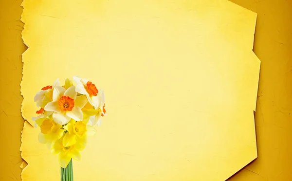 Bukett Våren Blommor Påsklilja Gul Bakgrund Vår Sommar Bakgrund Banderoll — Stockfoto