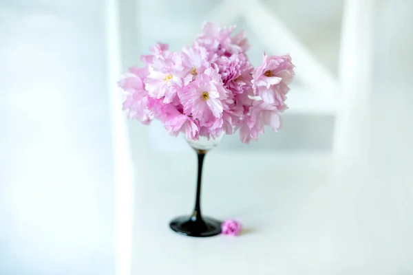 Bouquet Délicates Fleurs Sakura Dans Intérieur Clair Mise Point Sélective — Photo