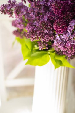 Işıl ışıl bir vazoda bahar leylağı çiçekleri. Güzel bir iç mekan fotoğrafı..