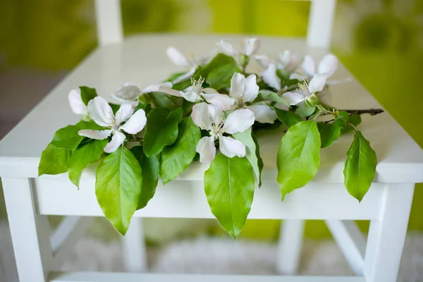 Beyaz Bir Sandalyede Yeşil Yaprakları Olan Bir Elma Ağacının Çiçek — Stok fotoğraf