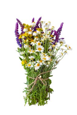 Bir buket kır çiçeği. Papatyalar, leylak adaçayı ve sarı kır çiçekleri. Beyazı izole et
