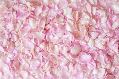 Pembe çay yapraklarının arka planı. bir üst görünüm