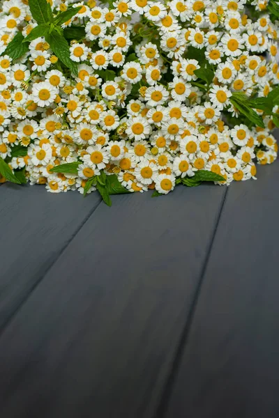 Zarter Strauß Kleiner Gänseblümchen Auf Dunkelgrauem Holzgrund — Stockfoto