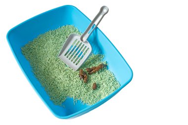 Kedi kumu kutusuna kaka ve temizlik küreği. Kakalı kedi kumluğu. İzole et.