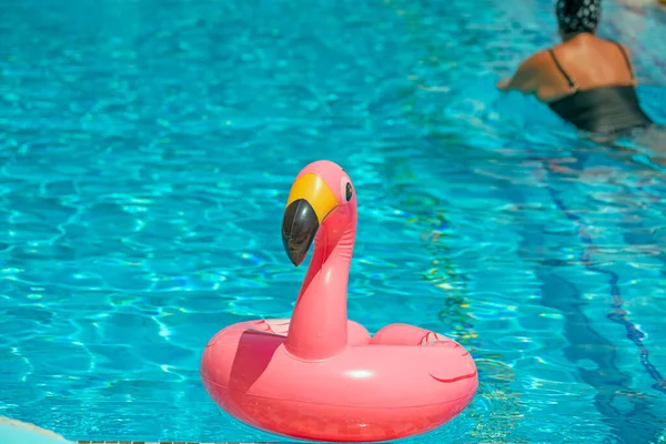 Inflatable Circle Swimming Pink Flamingos Blue Water Pool Sunny Day — Stock Photo, Image