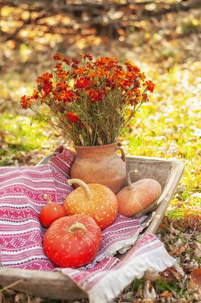 Jesienna Martwa Natura Dynie Czerwone Kwiaty Czernobrivtsy Glinianym Dzbanku Narodowy — Zdjęcie stockowe