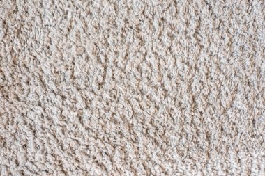 Bej tonlarında Terry yüzeyi
