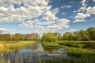Güneşli bir yaz gününde yeşil ağaçların arasında sakin bir göl.