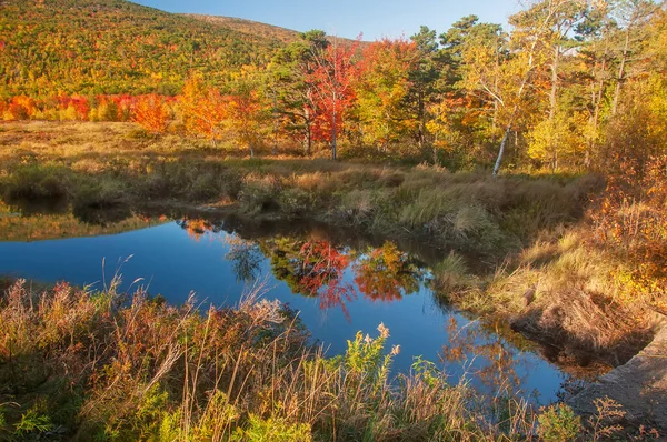 池のある美しい秋の風景と水の中のカラフルな木の反射 アカディア国立公園 アメリカ合衆国 — ストック写真