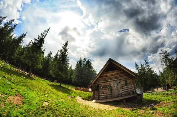 Old Wooden Cottage Cheese Factory Clearing High Mountains Carpathians Ukraine — Stock Photo, Image
