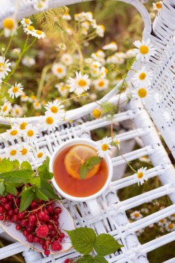 kırmızı frenk üzümü ve ahududu ve bir fincan çay hasır beyaz bir sandalyede papatyaları olan bir tarlada. Yaz havası. Yaz tatili konsepti, rahatlama.