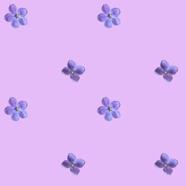 Lilac Flower Lilac Background Pattern — Stock Photo, Image