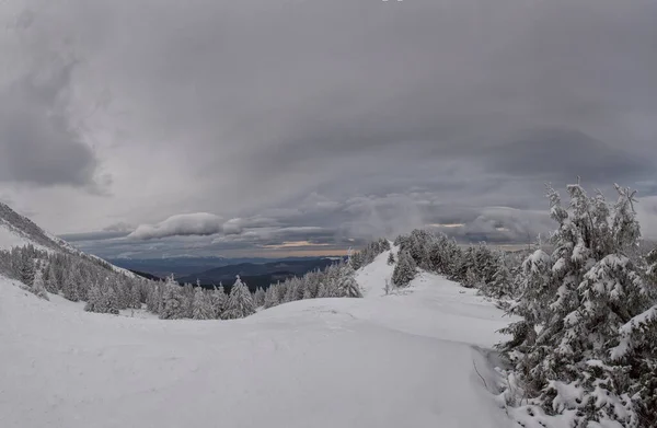 Panoramafoto Von Winterbergen Und Schneebedeckten Tannen Mit Dramatischem Himmel — Stockfoto
