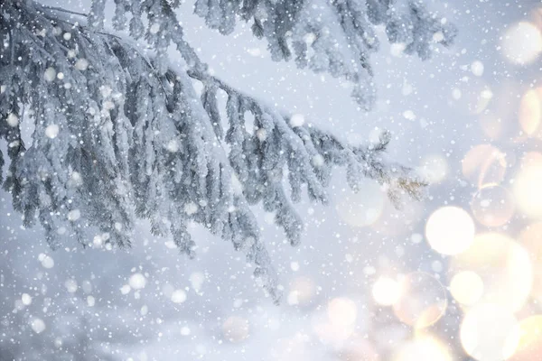 Ялинові Гілки Калюжі Сніг Конусами Падаючим Снігом Зимовий Фон — стокове фото