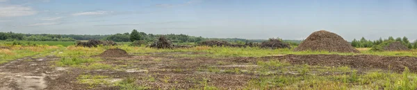 Photo Panoramique Endroit Après Destruction Forêt Restes Arbres Abattus — Photo