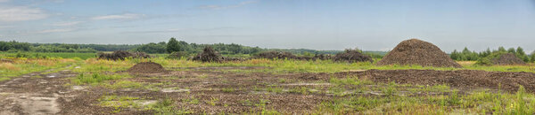 Panoramic photo of the place after the destruction of the forest. remnants of cut down trees.