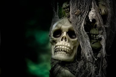 Karanlık bir ormanda cadılar bayramı süsleri. Karanlık bir ormanda kafatası ve iskeletler..