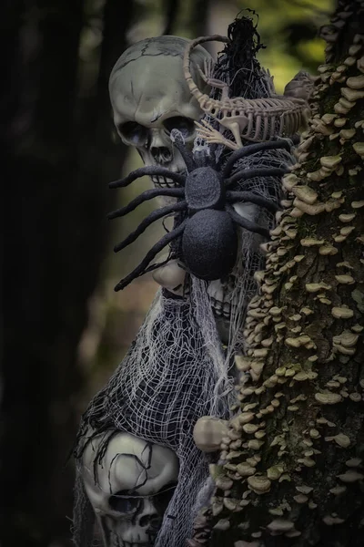 Dekoracje Halloweenowe Ciemnym Lesie Czaszka Szkielety Ciemnym Lesie — Zdjęcie stockowe