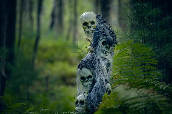 Halloween Decorations Gloomy Dark Forest Skull Skeletons Dark Forest — Stock Photo, Image