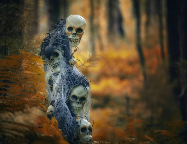 Dekoracje Halloweenowe Ciemnym Lesie Czaszka Szkielety Ciemnym Lesie — Zdjęcie stockowe