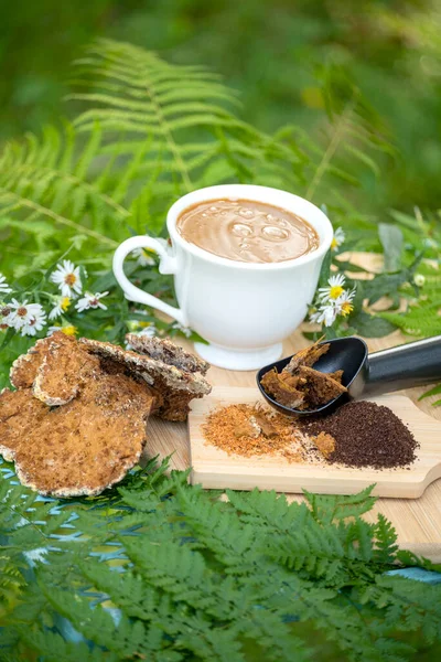 Chaga mushroom. Mushroom coffee chaga superfood. Dried mushrooms and and a cup of coffee. Healthy organic energizing adaptogen, endurance boosting food trends.