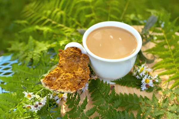 Chaga mushroom. Mushroom coffee chaga superfood. Dried mushrooms and and a cup of coffee. Healthy organic energizing adaptogen, endurance boosting food trends.
