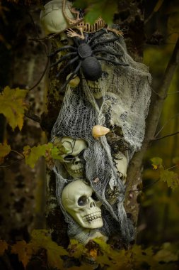  Karanlık bir sonbahar ormanında cadılar bayramı süsleri. Karanlık bir ormanda kafatası ve iskeletler..