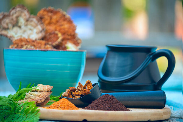 Chaga and Turkeys tail, Trametes versicolor mushroom. Mushroom coffee chaga superfood. Dried mushrooms and and a cup of coffee. Healthy organic energizing adaptogen, endurance boosting food trends. 