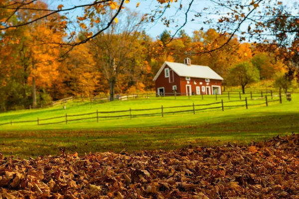 秋のロマンチックな表情 黄色い木と晴れた日にかわいい家 アメリカ バーモント州 ストック画像