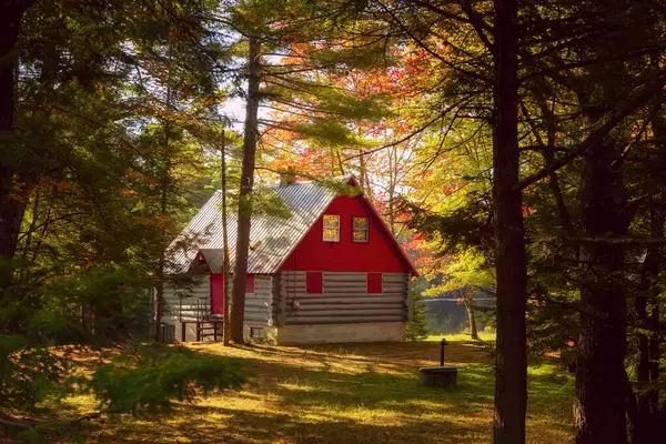 秋天森林里可爱的木制房子在湖边一个僻静的地方 — 图库照片