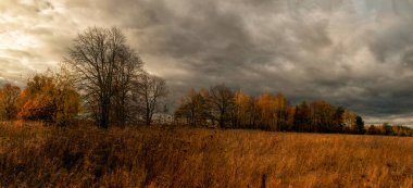 Sonbaharın sonlarında dramatik gökyüzünün panoramik fotoğrafı.
