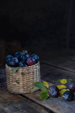 Karanlık natürmort. Koyu kaba bir arka planda saman kutusunda erikler.