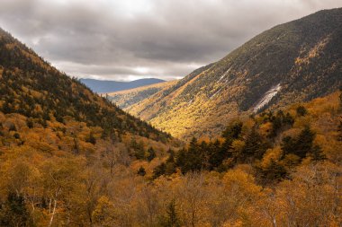 Parlak sarı ağaçları olan dağların arasında bir vadinin sonbahar manzarası. ABD. Yeni Hamsher.